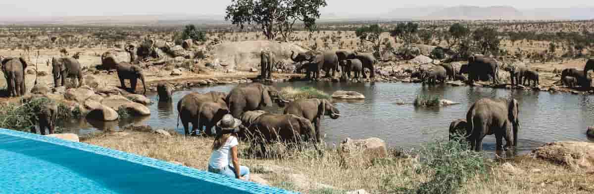 Tanzania Classic Safari 4-Day, Lodge Style