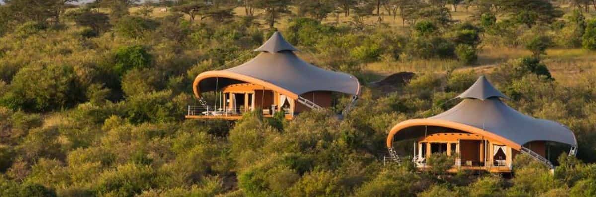 Tanzania Classic |  Safari 7-Day, Lodge Style