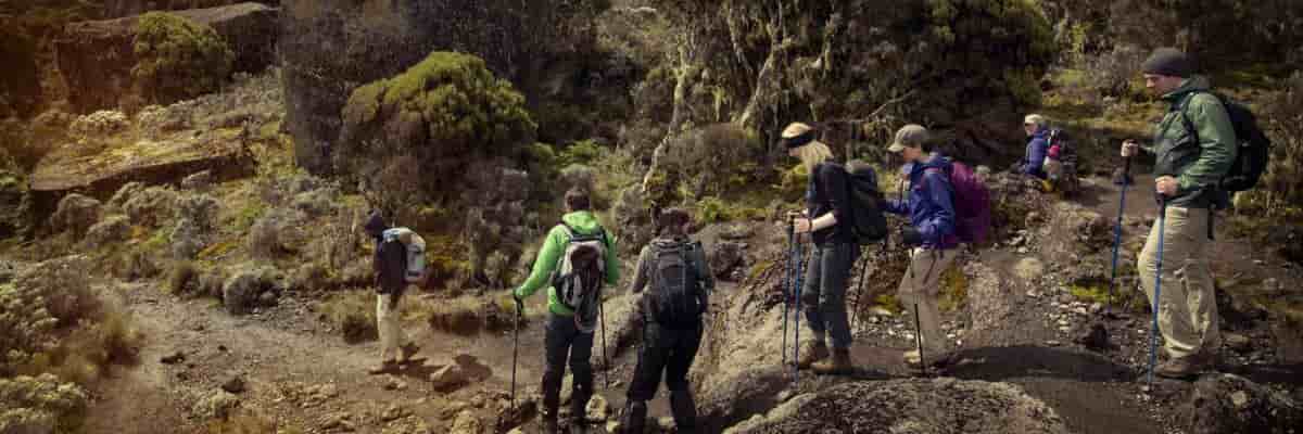  6-Days Kilimanjaro Climb Via Machame Route.