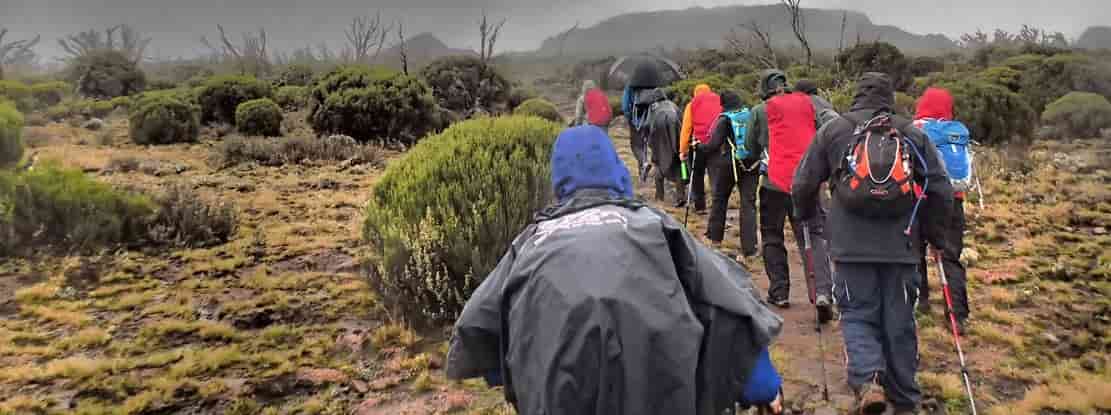 Kilimanjaro Climb | Lemosho Route 7-Days.