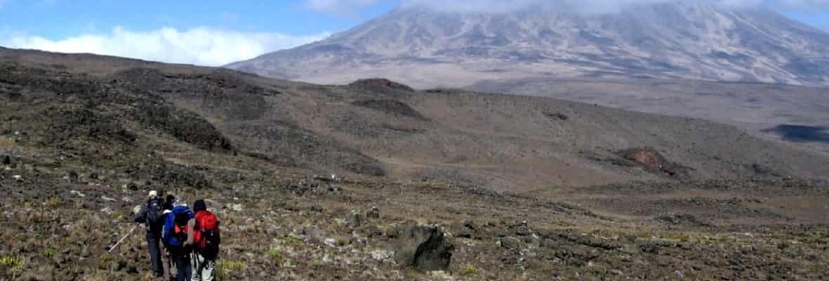 Kilimanjaro Trek | Rongai Route 7-Days