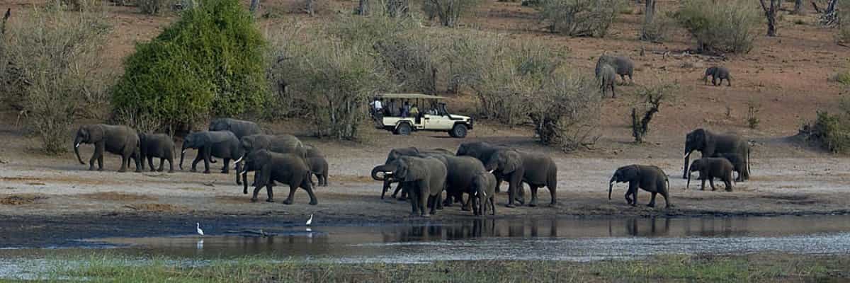 Life Time Experience | Tanzania Safaris.