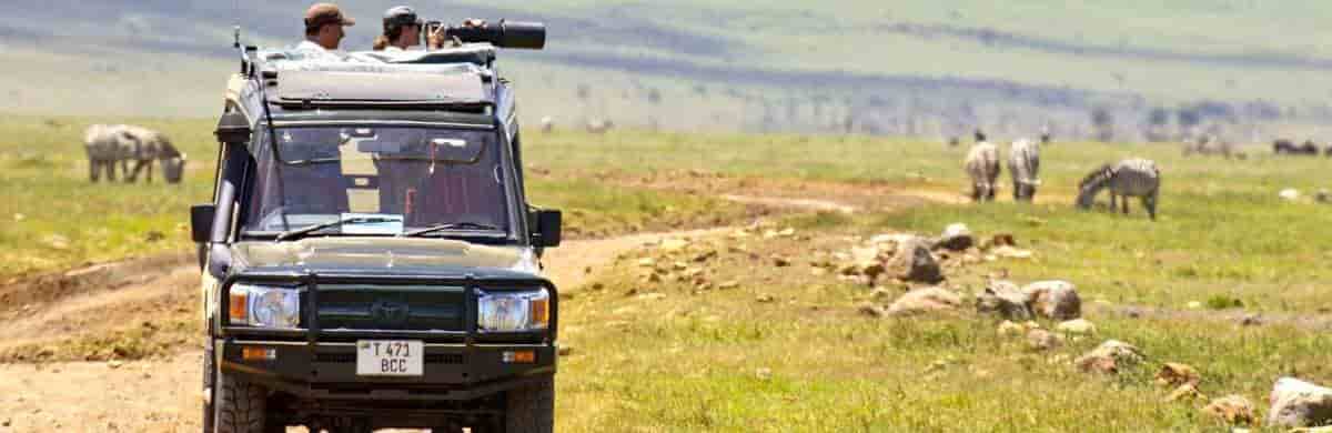 Ngorongoro Crater Day Tour Trip