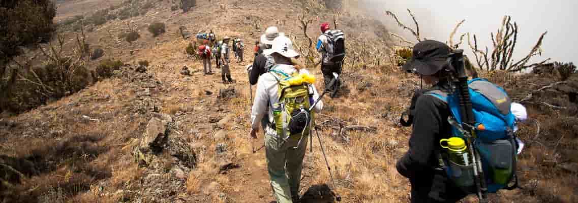 Trek The Roof Of Africa | Mt. Kilimanjaro Tour.