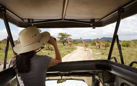 Private Safaris in Tanzania